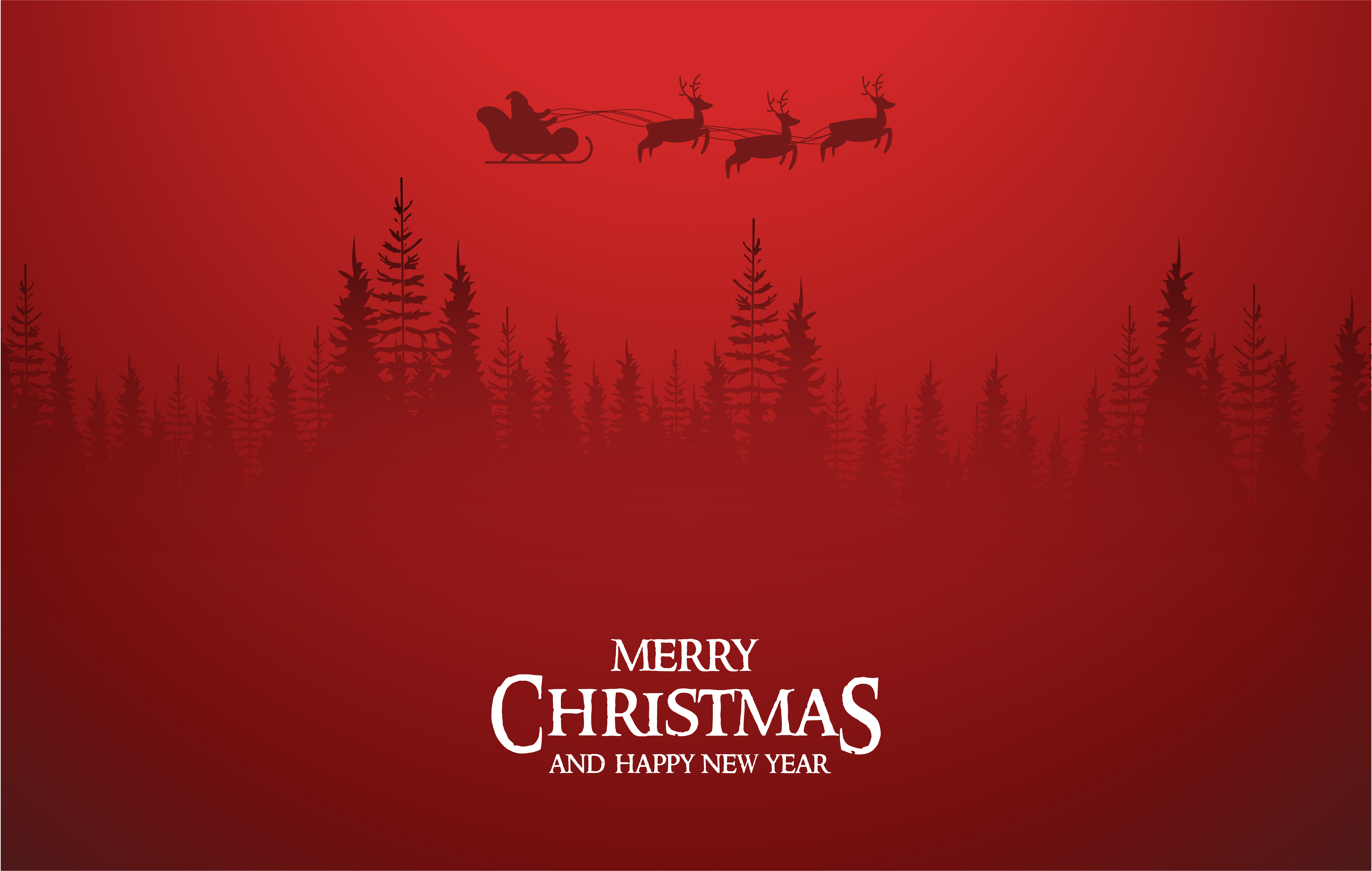Vereins-News: Weihnachtsfeier 2023