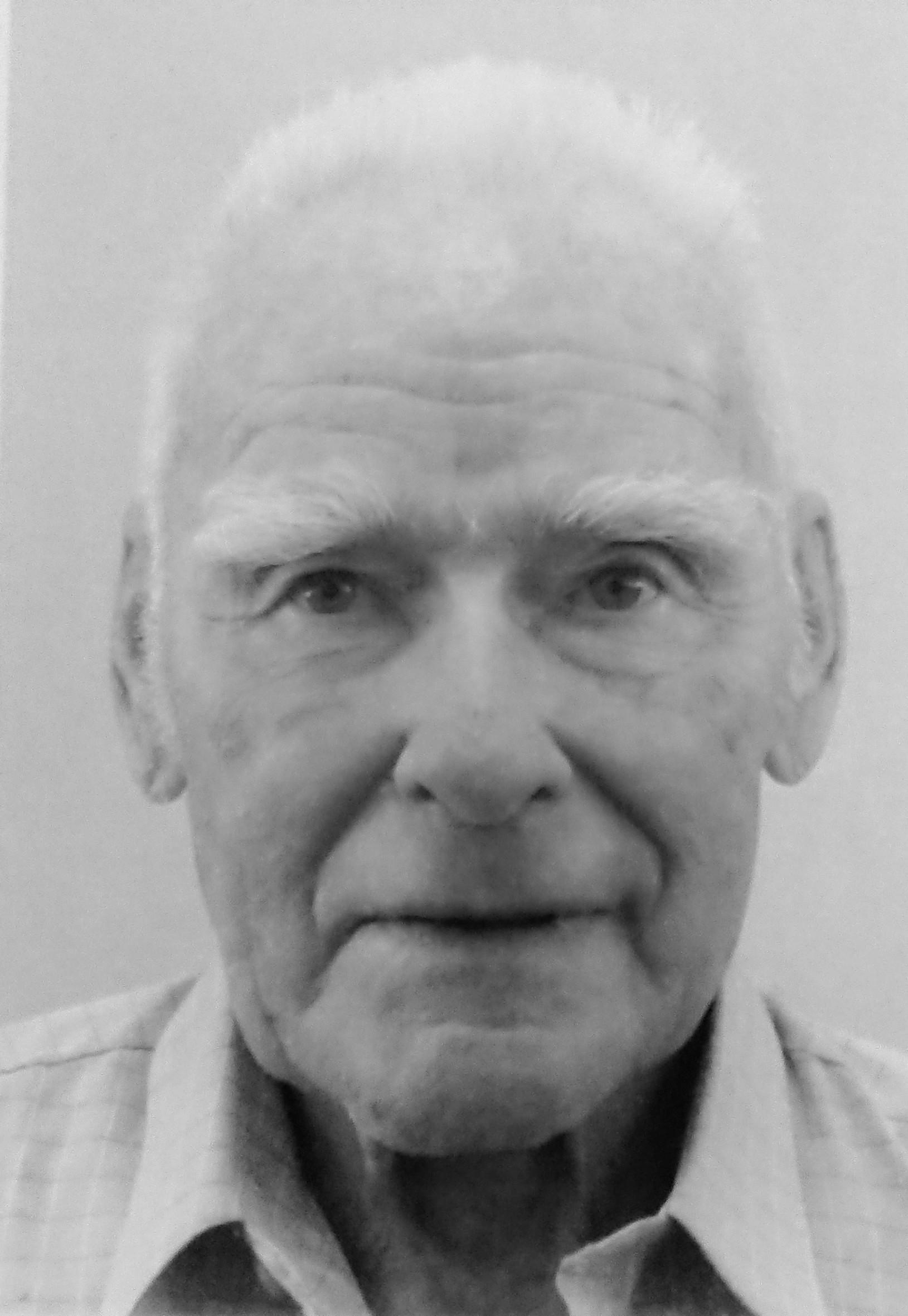 Kurt Gollub
